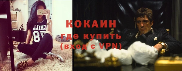 тгк Арсеньев