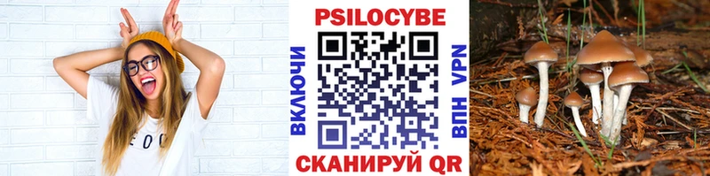цены Мамадыш Галлюциногенные грибы GOLDEN TEACHER